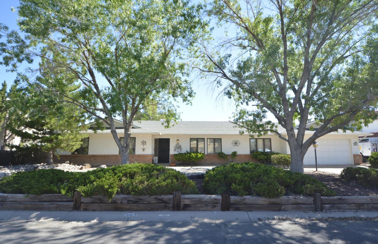 2837 Trevino Drive - Photo 1