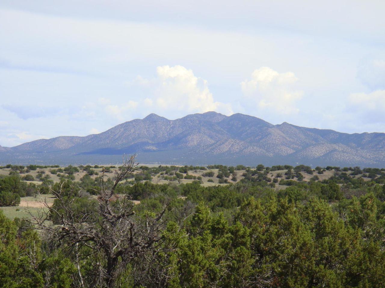 8 Stagecoach Trail - Photo 1