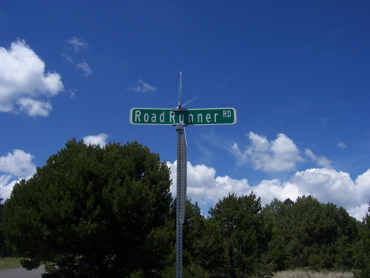 11 Roadrunner Road - Photo 1