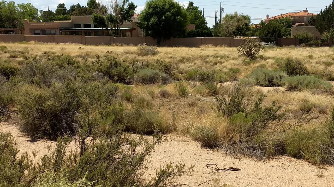 006 Del Rey Avenue - Photo 1