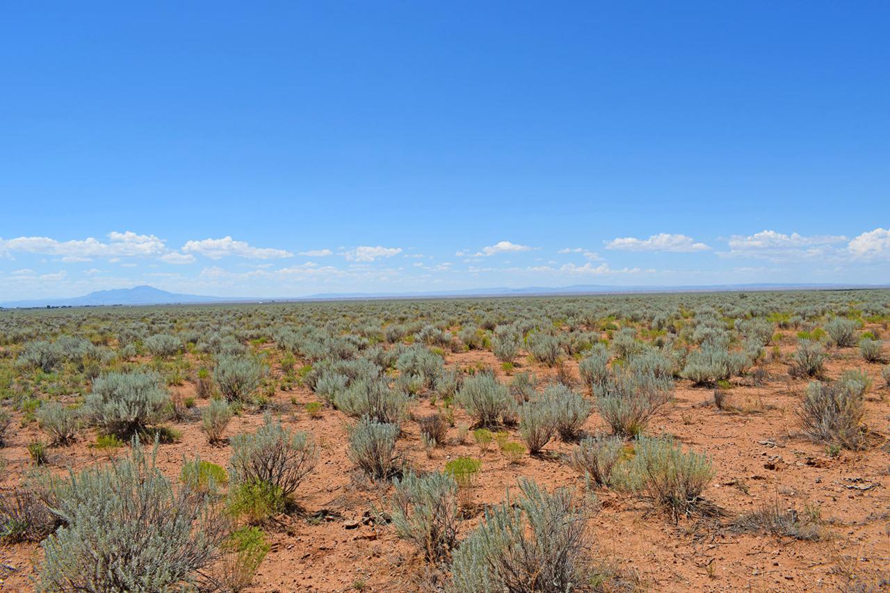 Lot 16 Rio Grande Estates - Photo 1