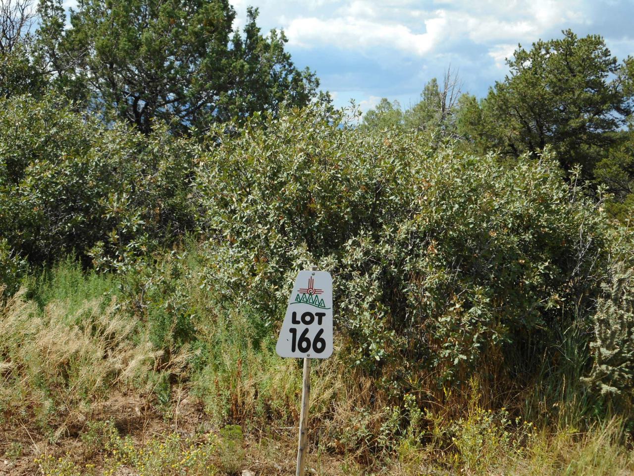 37 Los Pecos Loop - Photo 1 37 Los Pecos Loop - Photo 1