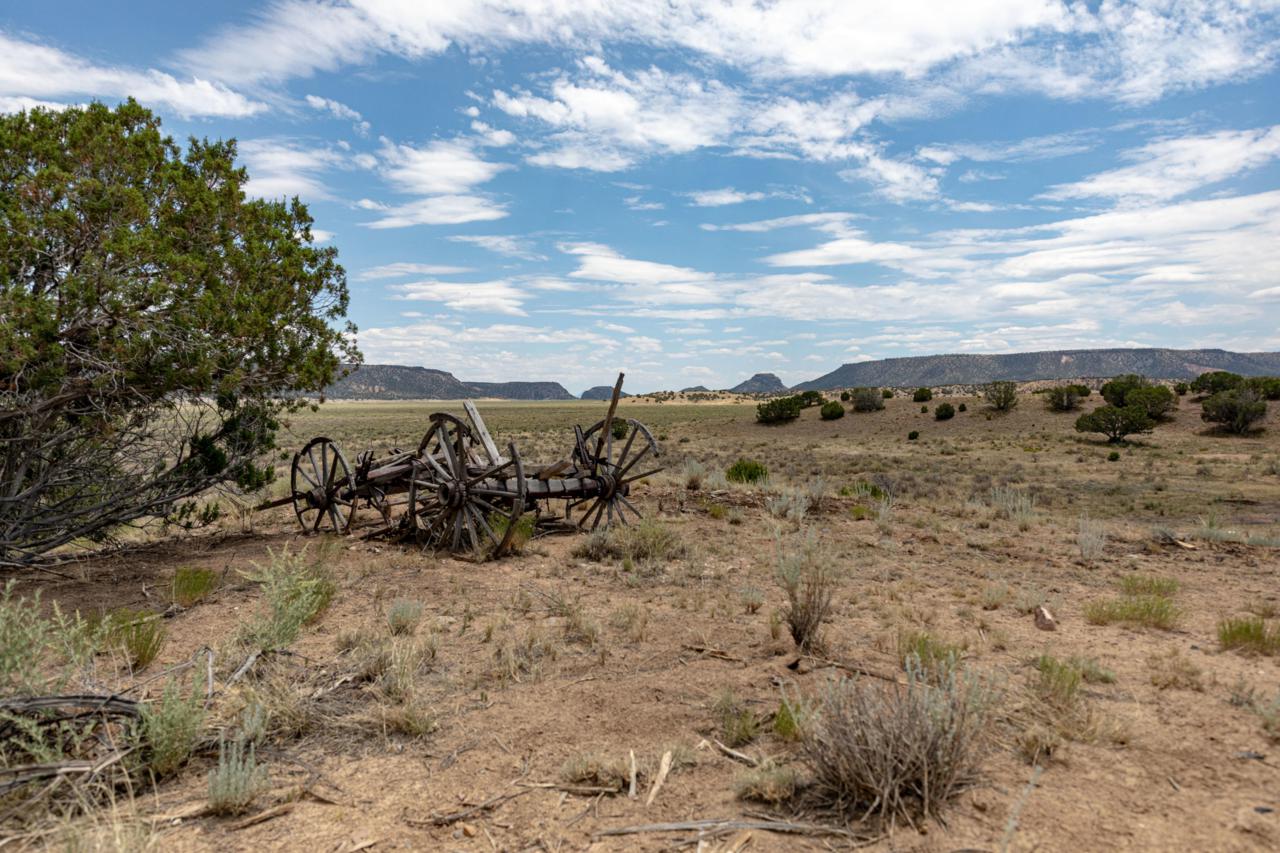 Orona Road - Photo 1