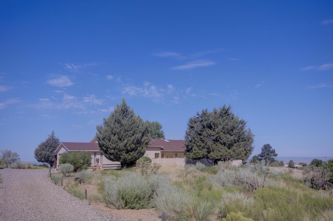 653 Cougar Loop - Photo 1