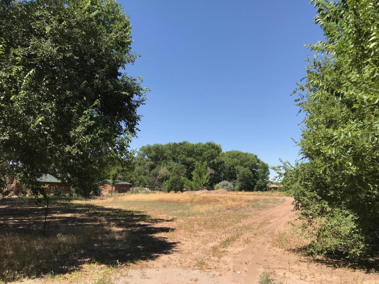 9XX Terra Bella Court - Photo 1