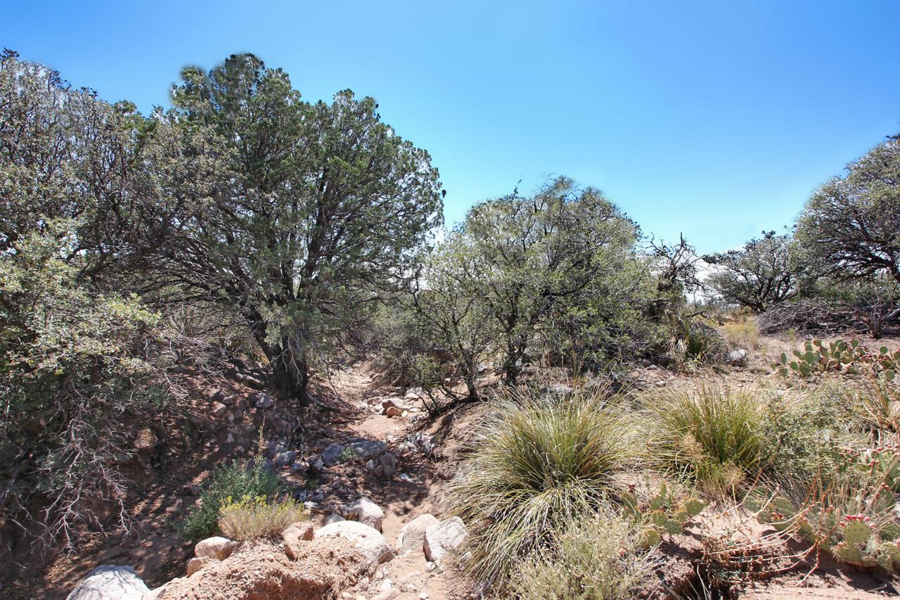 233 Spring Creek Court - Photo 1