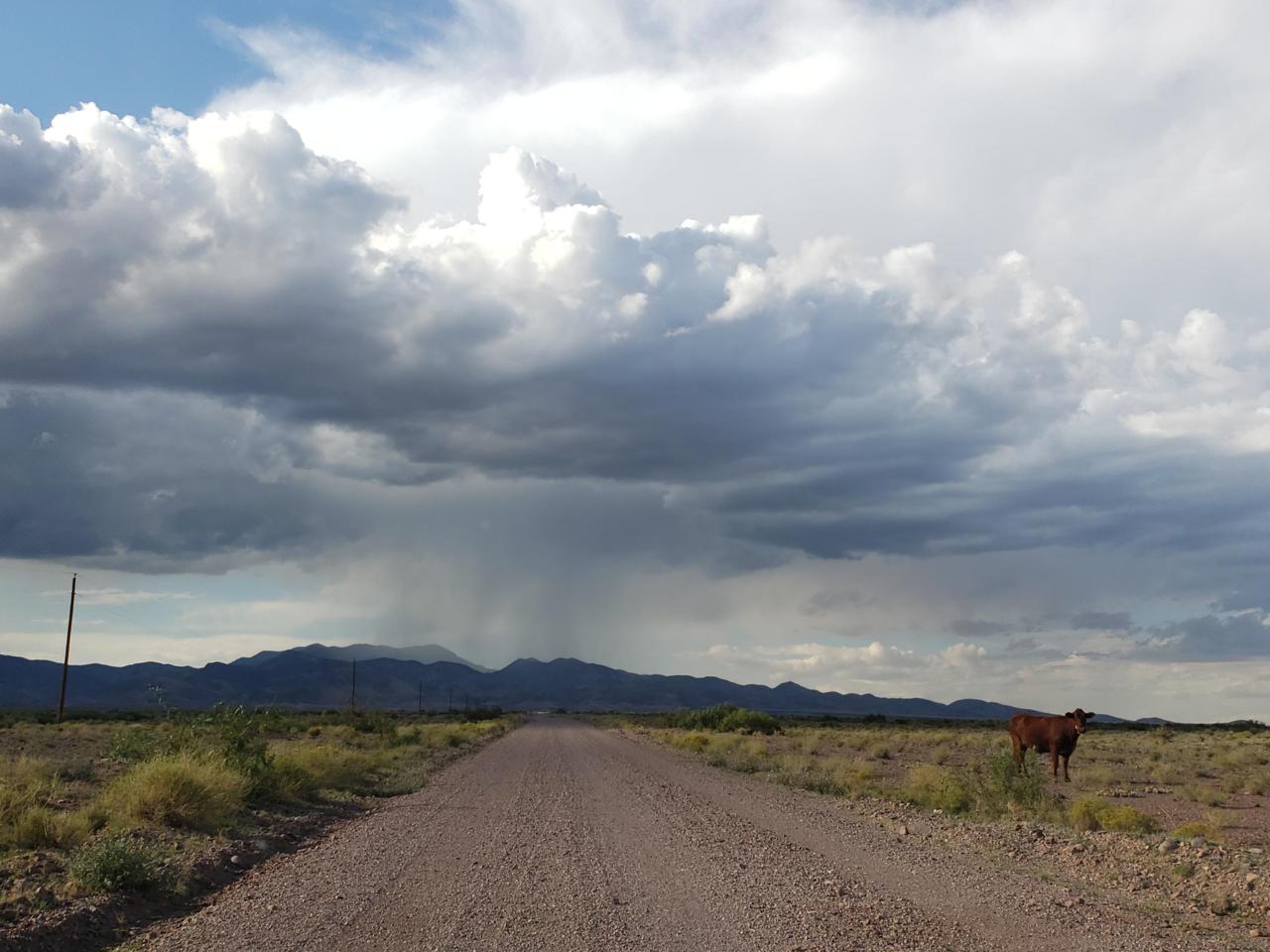 Desert Highlands Road - Photo 1