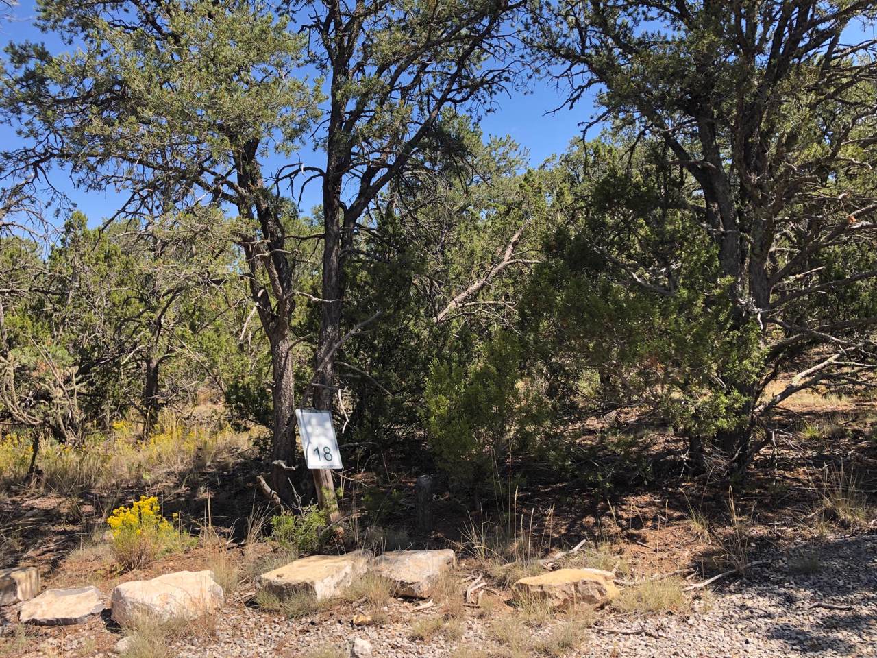 10 Coyote Canyon Trail - Photo 1