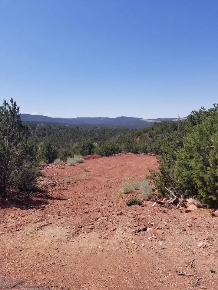 71 Eagle Crest Drive - Photo 1