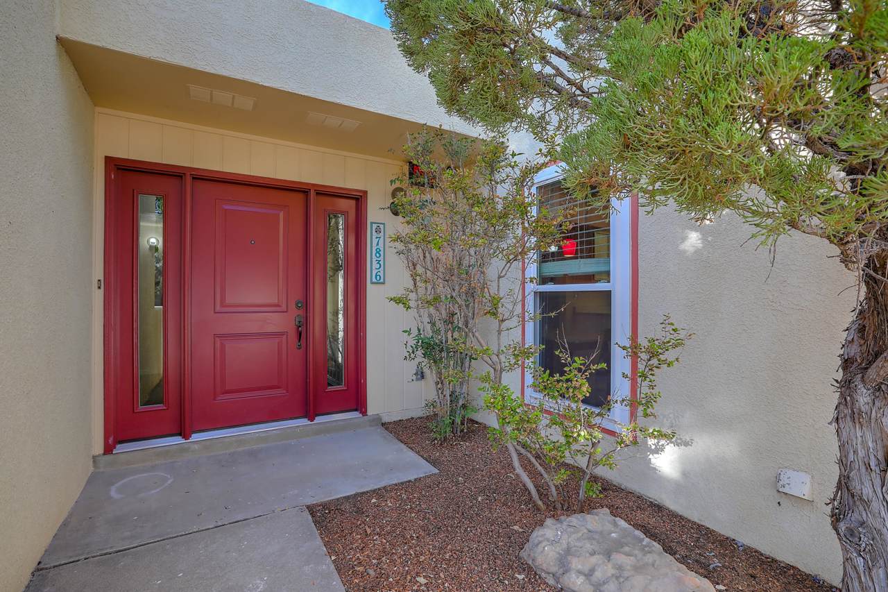 7836 Pioneer Trail - Photo 1