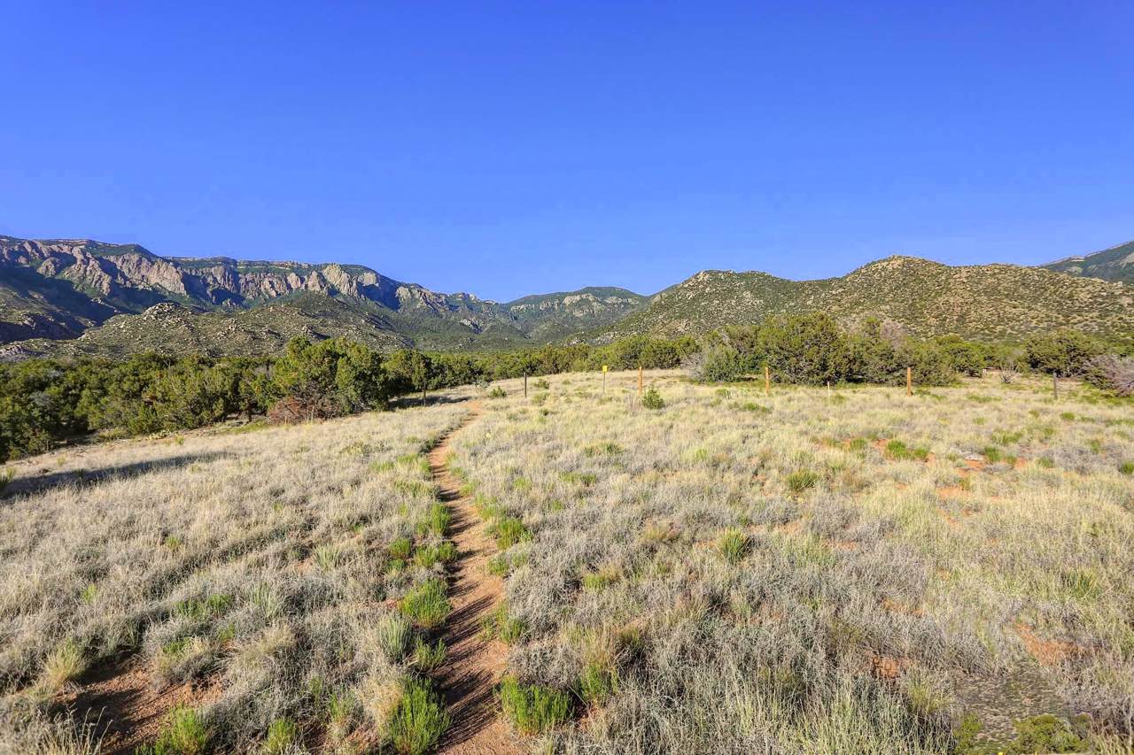 13715 Quaking Aspen Place - Photo 1