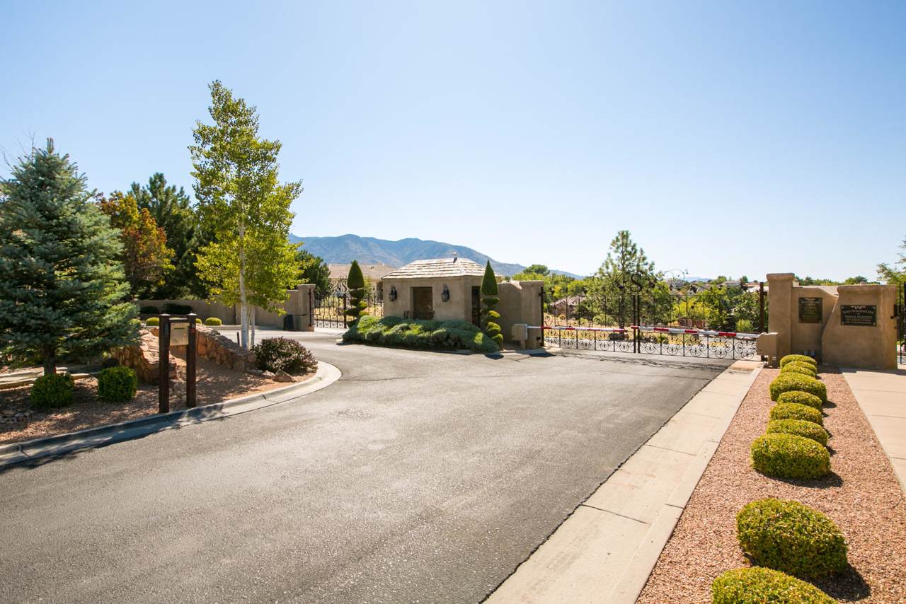 11601 Zinfandel Lane - Photo 1