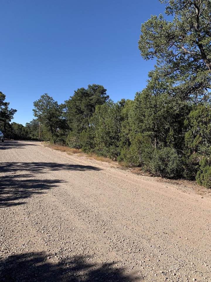 42 Vista Alta Drive - Photo 1
