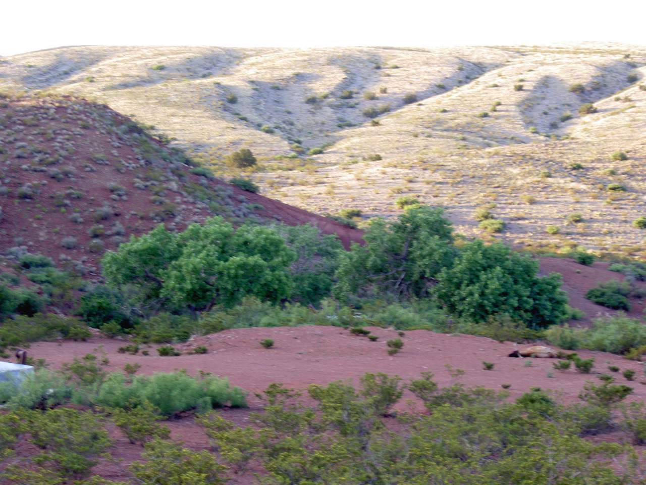 4 Back Country Byway - Photo 1