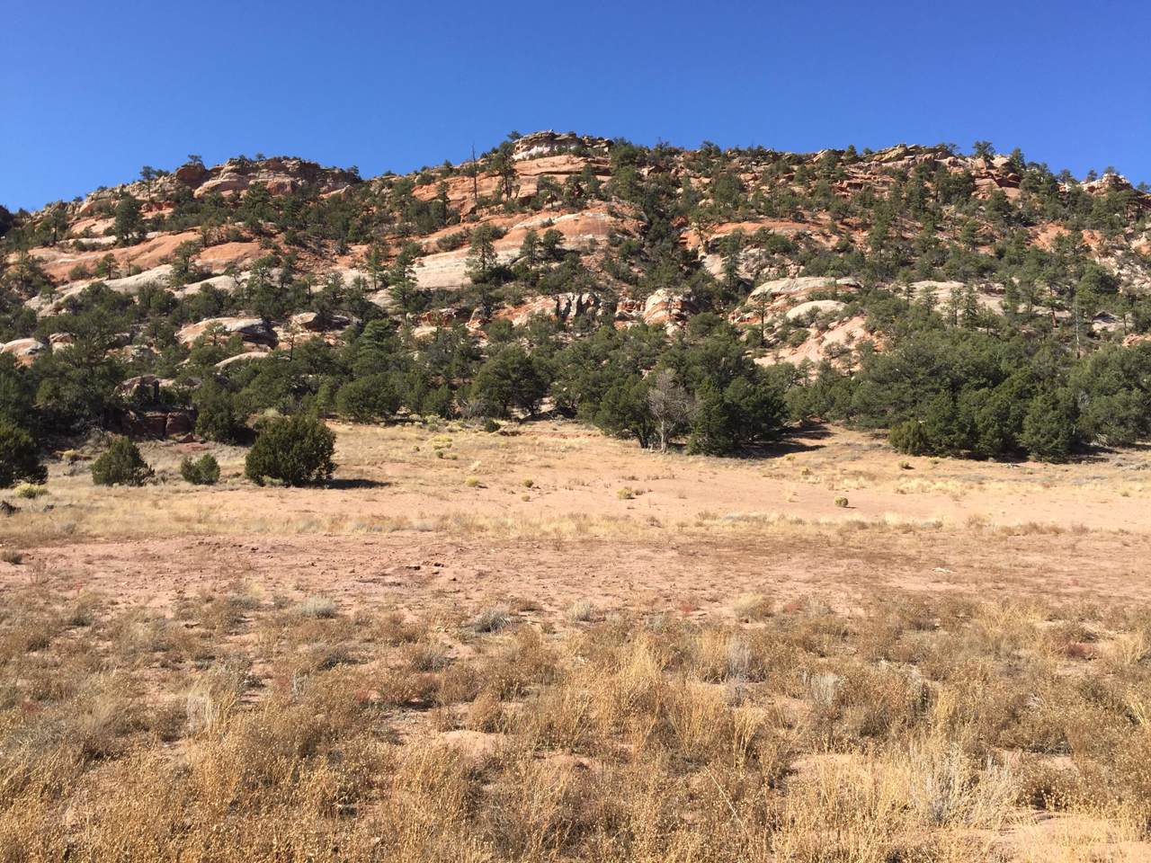Lot 4 Box S Ranch Road - Photo 1