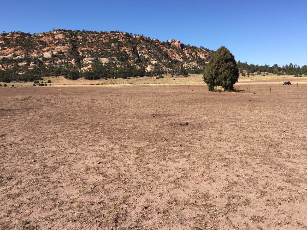 Lot 11 Box S Ranch Road - Photo 1
