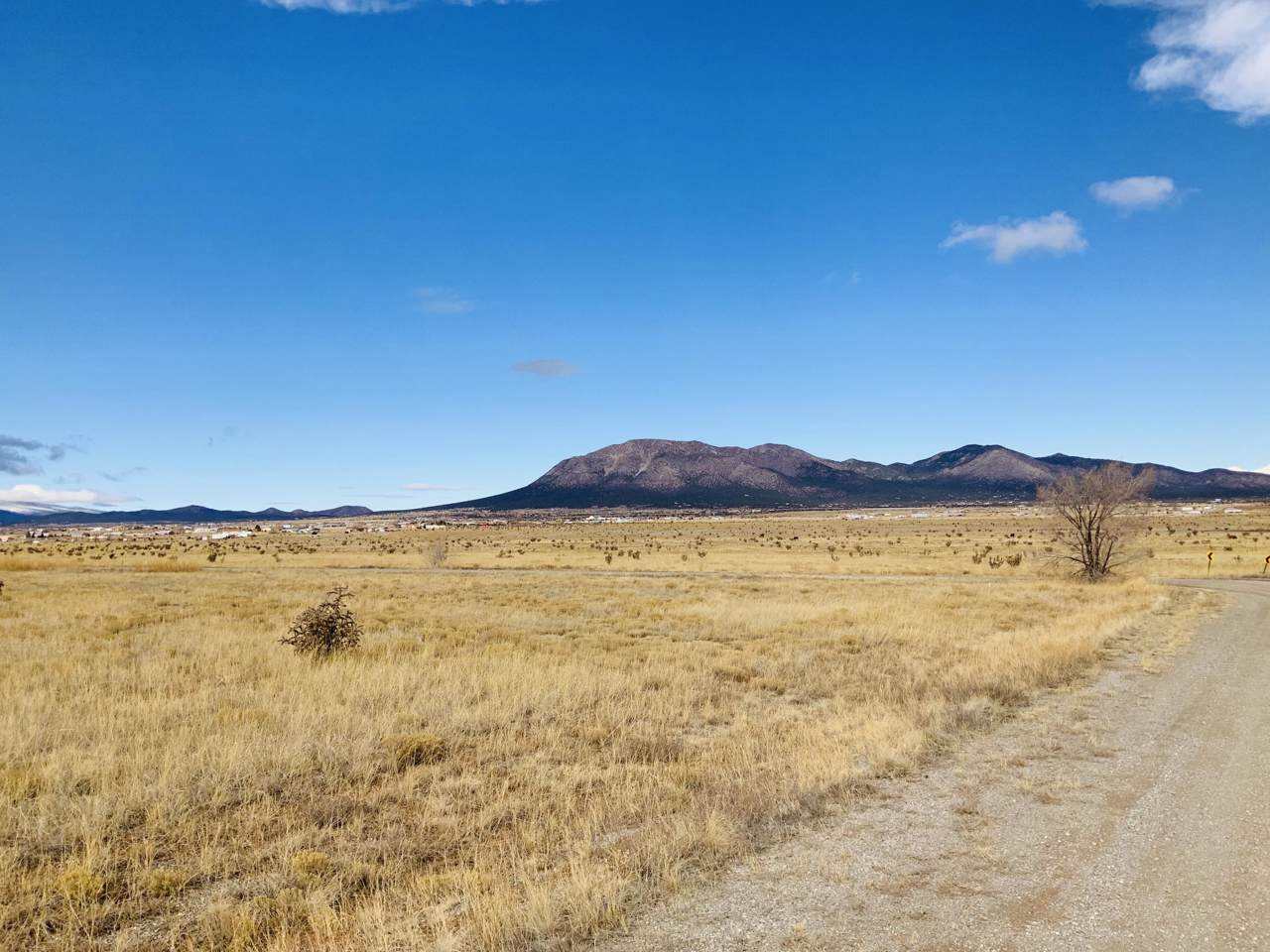 90 High Meadow Loop - Photo 1 90 High Meadow Loop - Photo 1