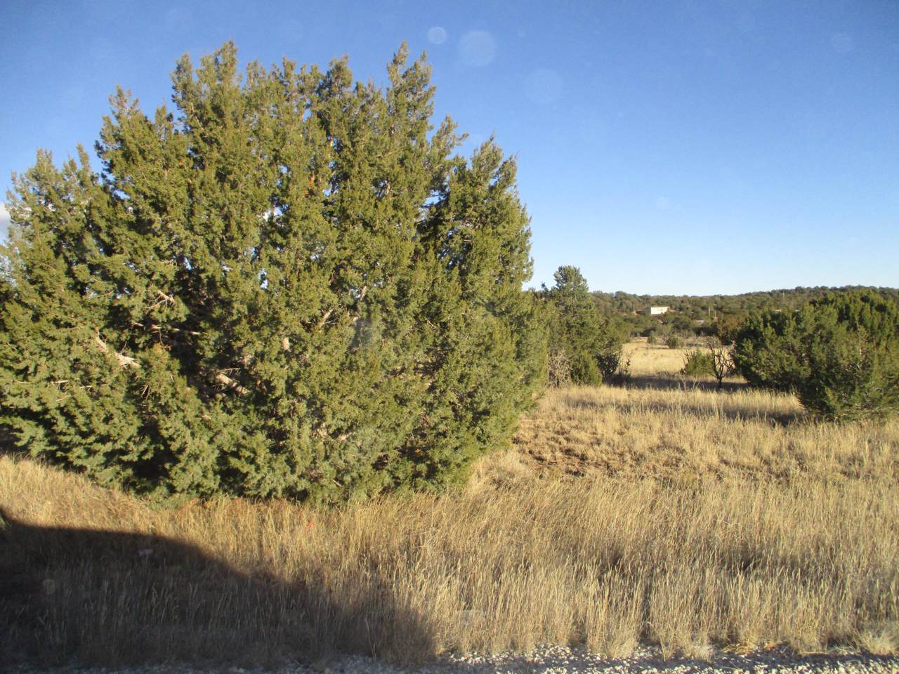 Lot 26 Block 3 Woodland Hills - Photo 1