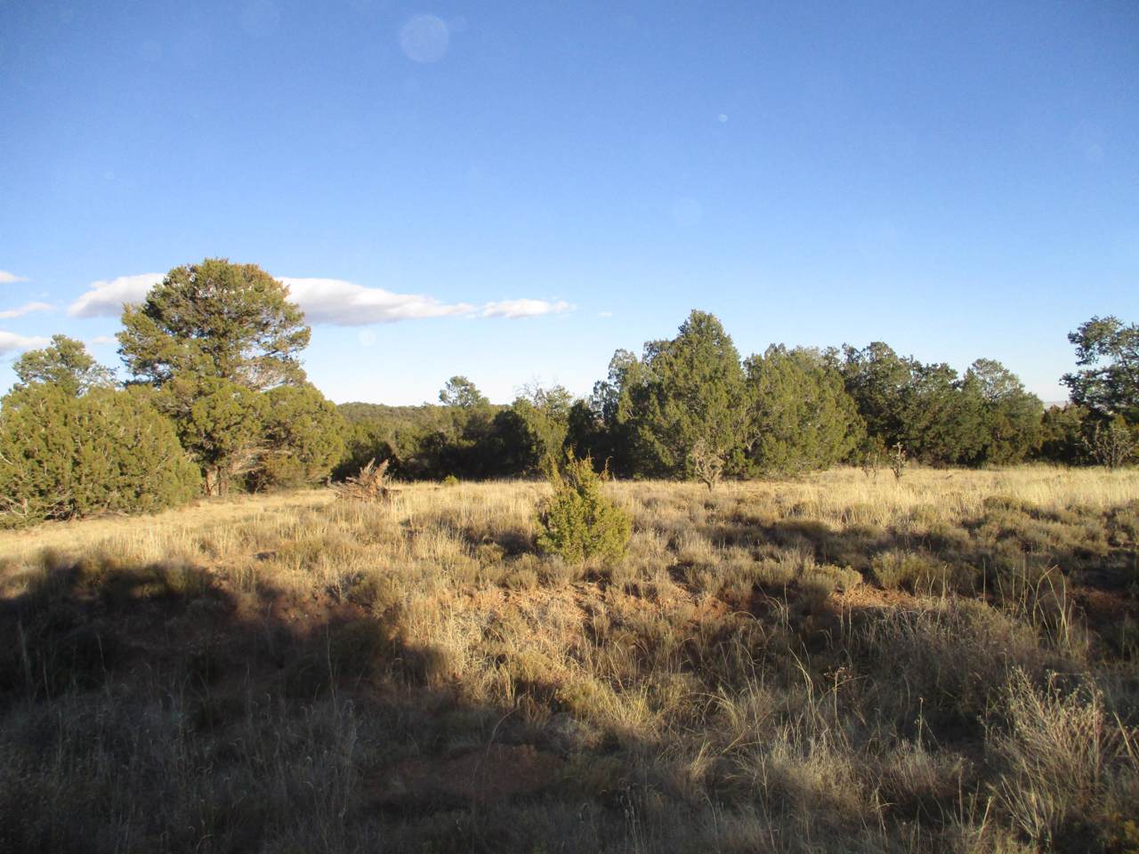 Lot 10 Blk 1 Woodland Hills - Photo 1