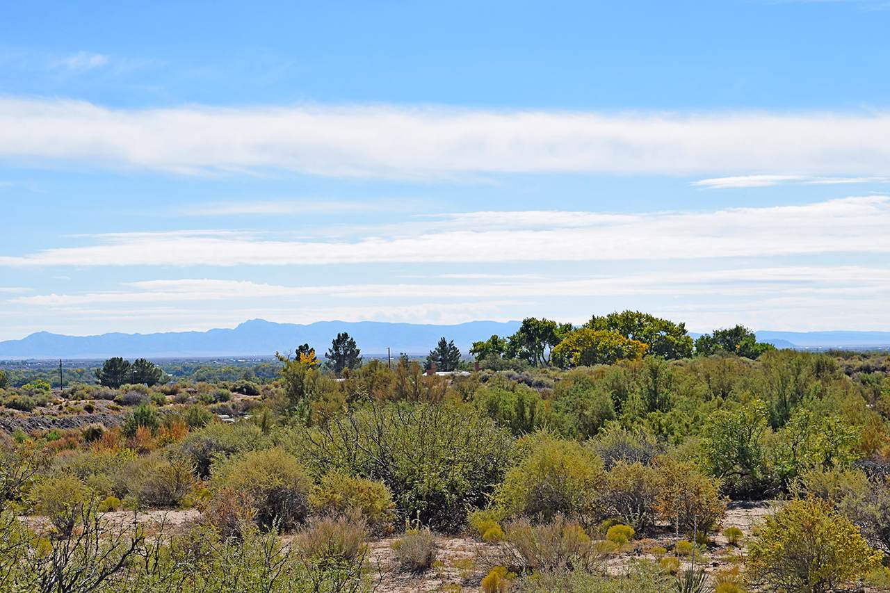 TR 165A Frontage Road - Photo 1