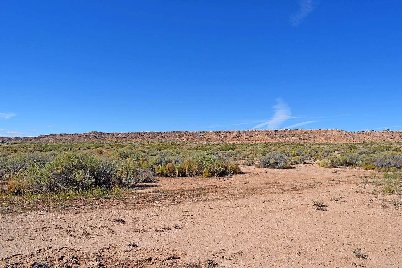 Tr 164D2 Frontage Road - Photo 1