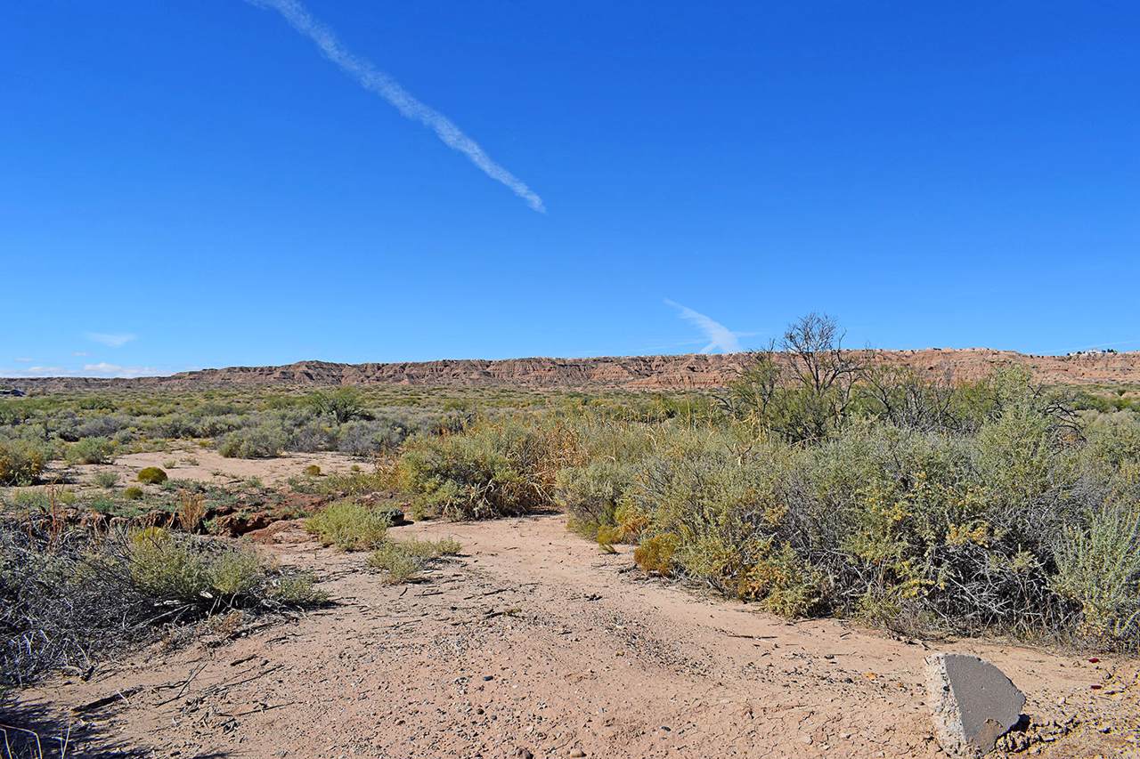 Tr 164D1 Frontage Road - Photo 1