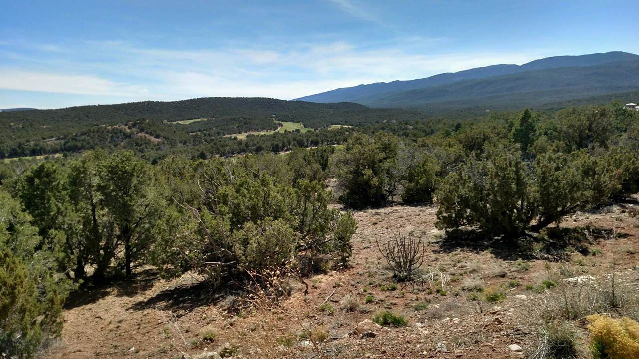 18 Broken Arrow Drive - Photo 1