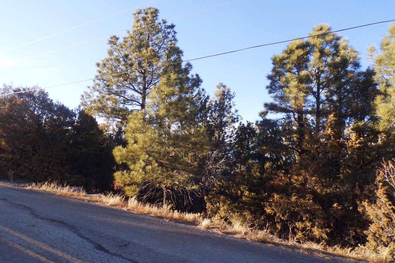 162 Holli Loop - Photo 1 162 Holli Loop - Photo 1