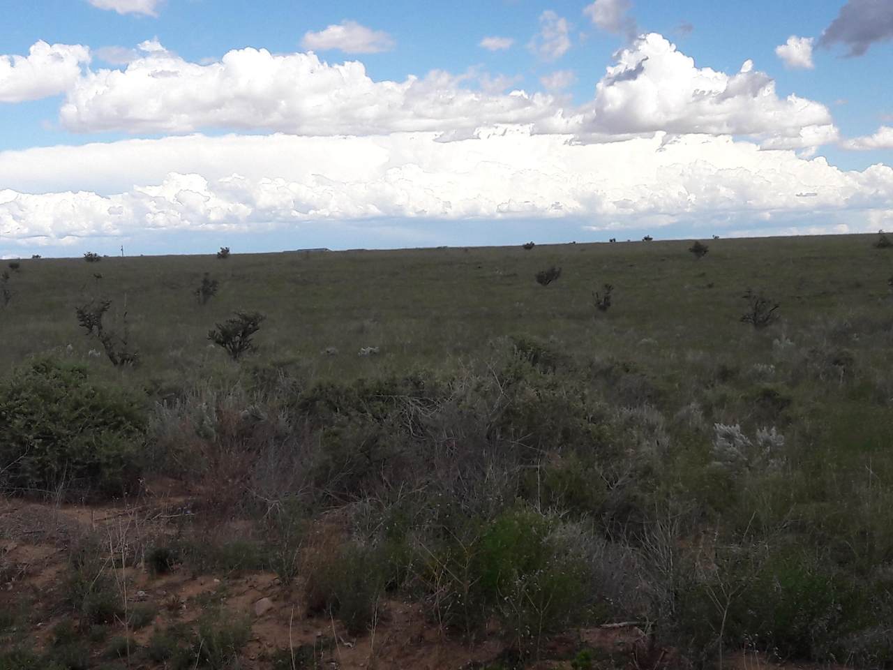33 Camino Sol Y Paz - Photo 1
