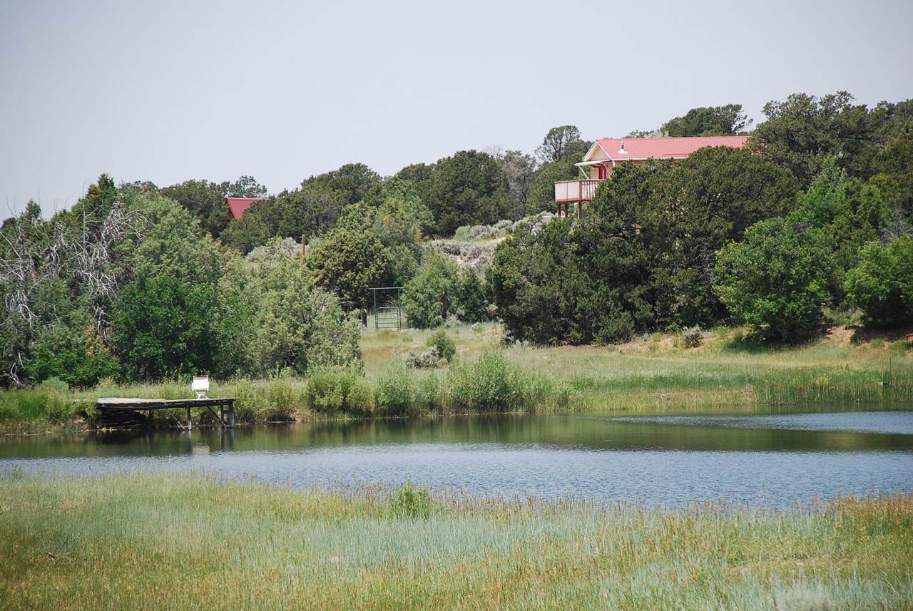 933 Bear Paw Rd., Bear Paw Ranch - Photo 1