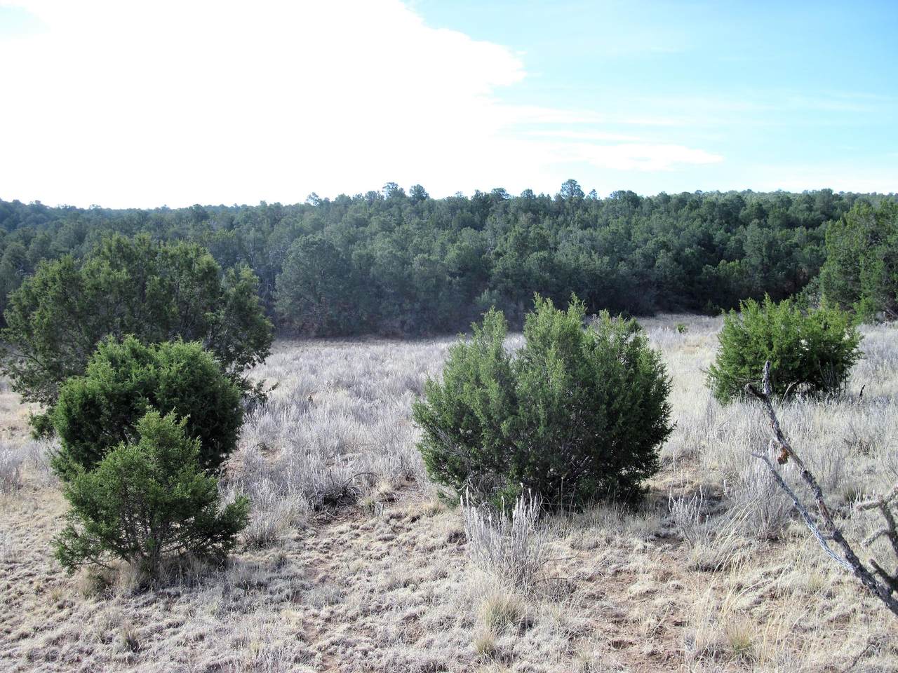 0 San Isidro - Photo 1