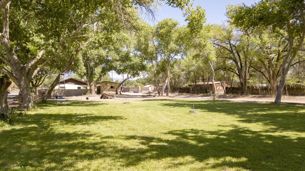 4259 Corrales Road - Photo 1