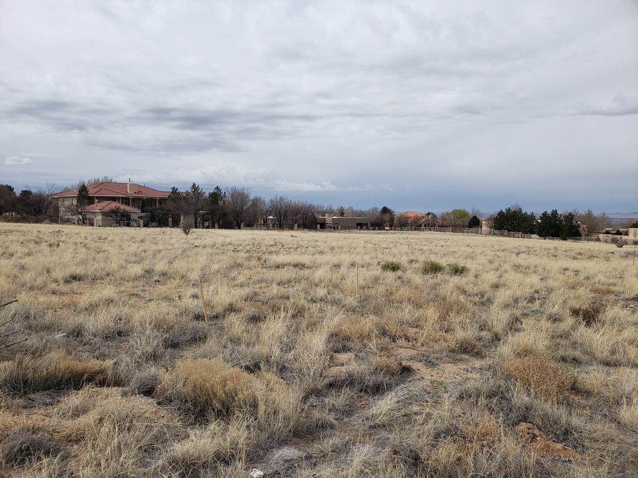 10205 Palomas Avenue - Photo 1