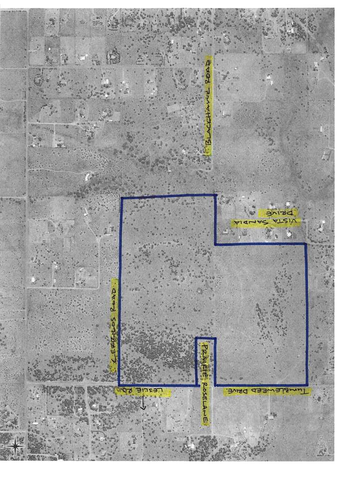 Frost & Tumbleweed (139 Acres) - Photo 1