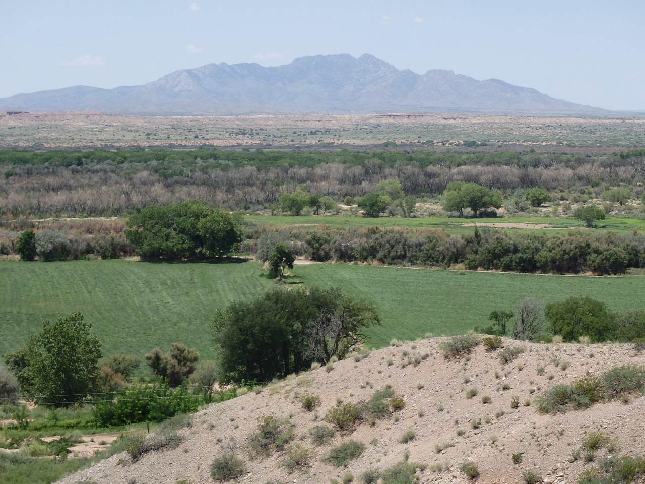 La Joya Farm - Photo 1