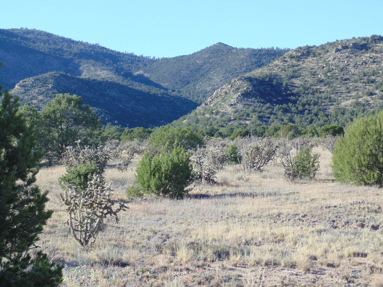0 Sandoval Road - Photo 1 0 Sandoval Road - Photo 1