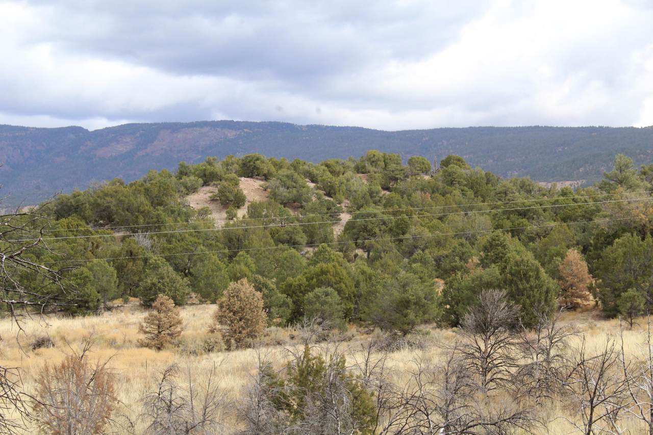 TBD Nm Hwy 126 - Photo 1