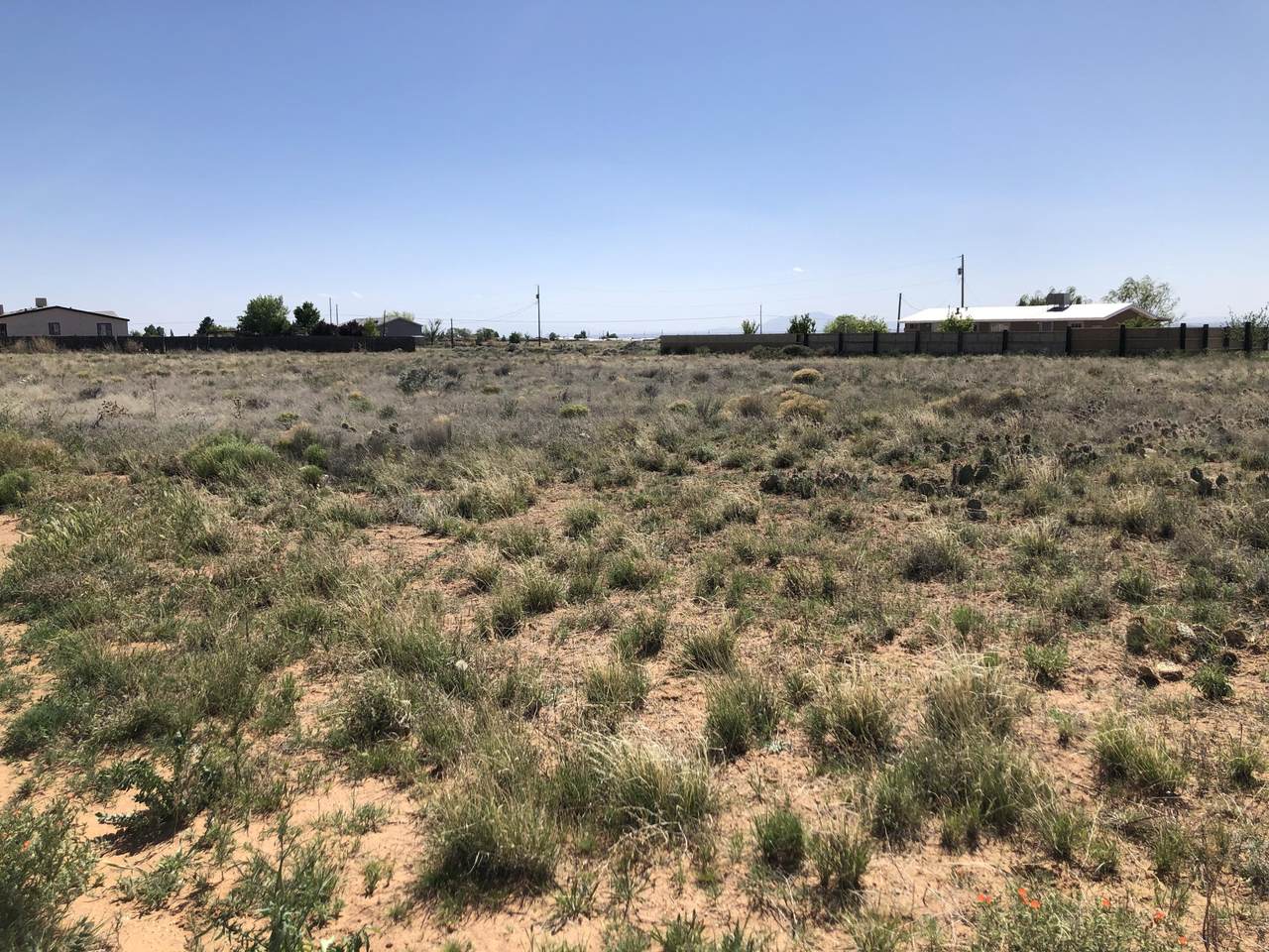 Tract 3 Mayo Loop - Photo 1