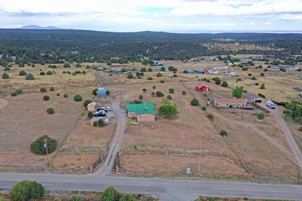 55 Holli Loop - Photo 1
