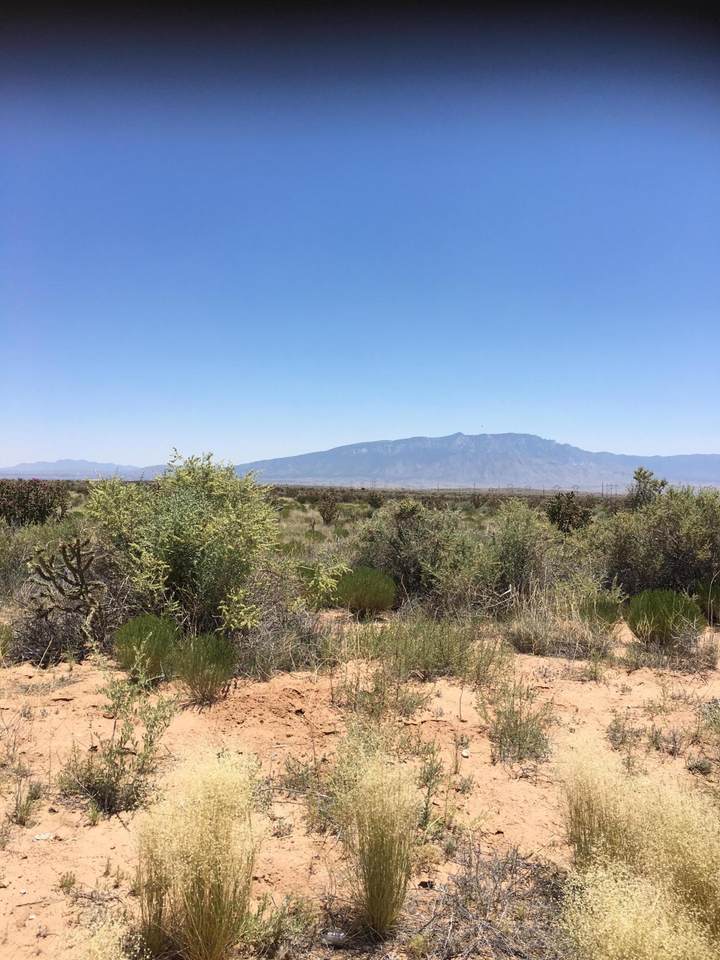 2127 Burgess Road - Photo 1