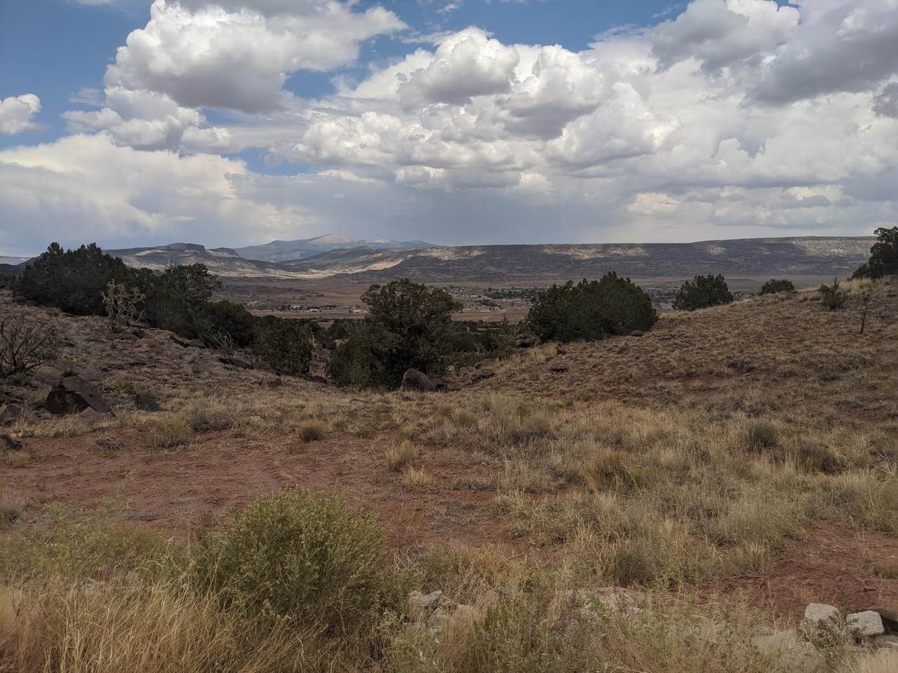 Grants Land 391 Acres - Photo 1