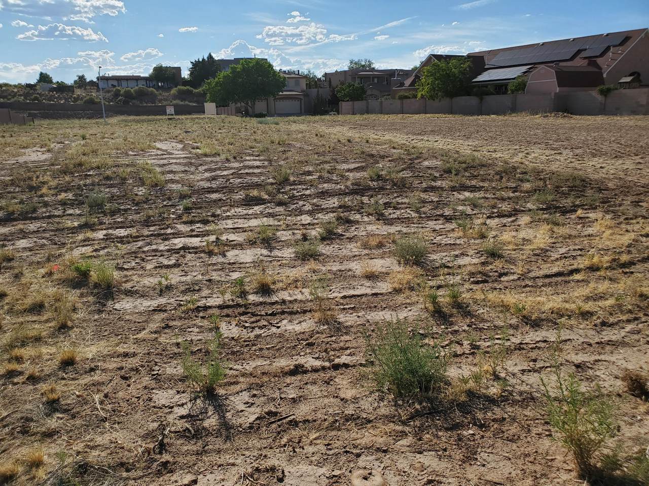 1200 Pinzon Street - Photo 1