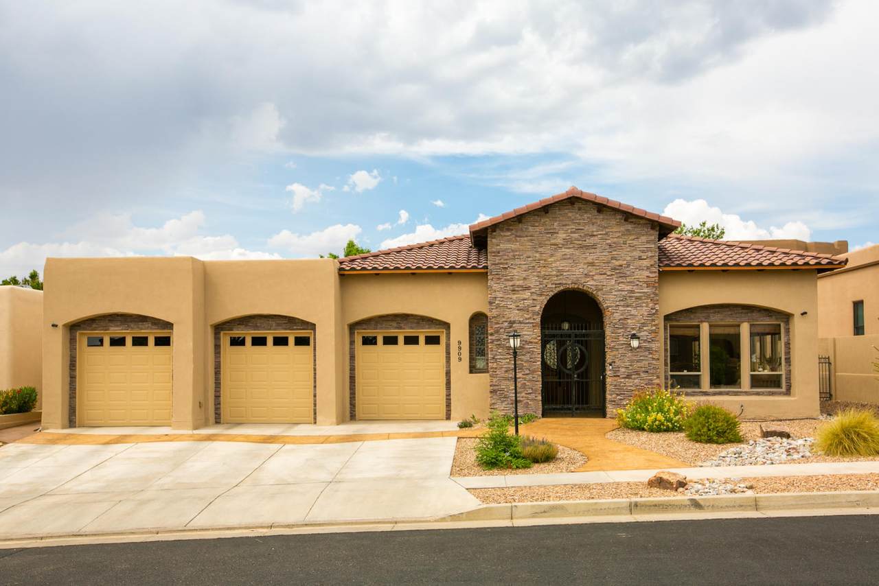 9909 Sand Verbena Trail - Photo 1