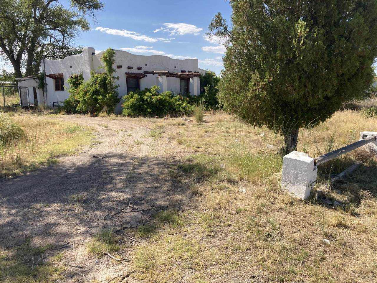 19467 A Highway 314 - Photo 1