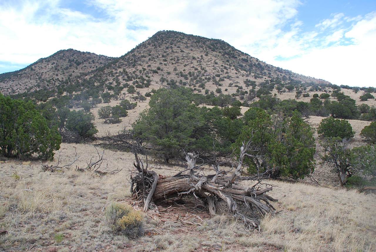 Lot 50 Wildwood Highlands - Photo 1