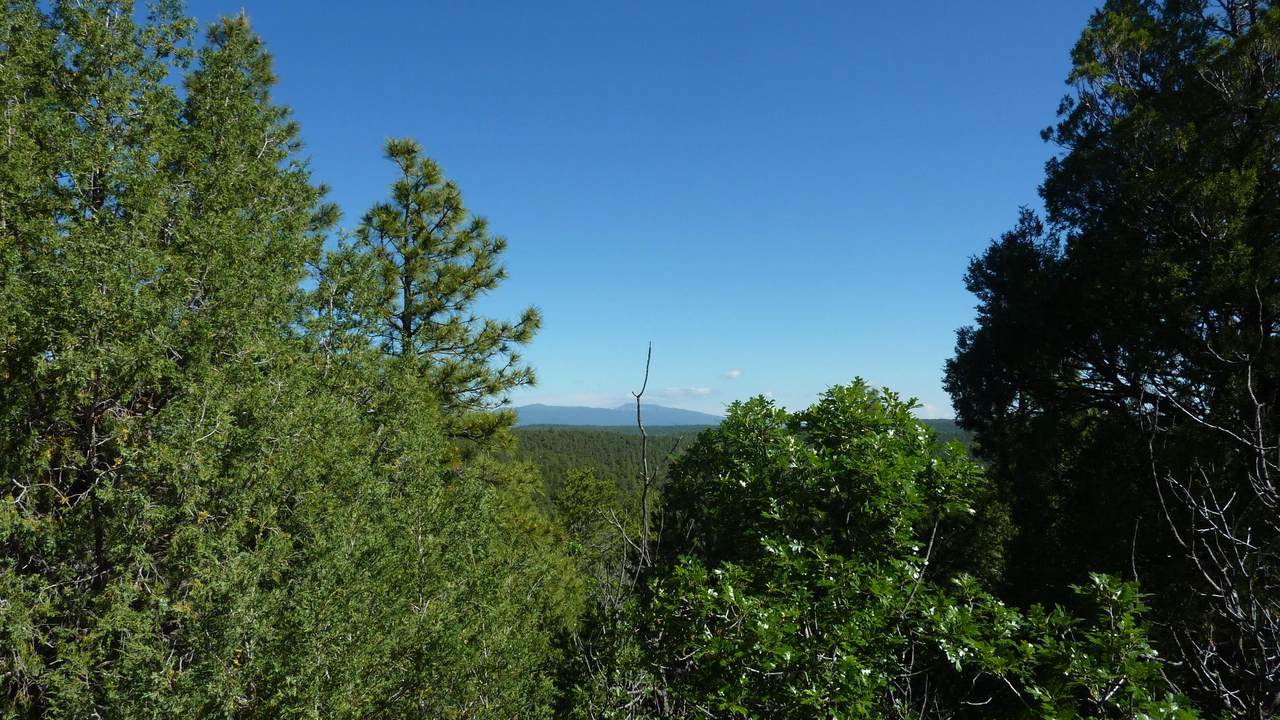 20 Estrella Vista Drive - Photo 1