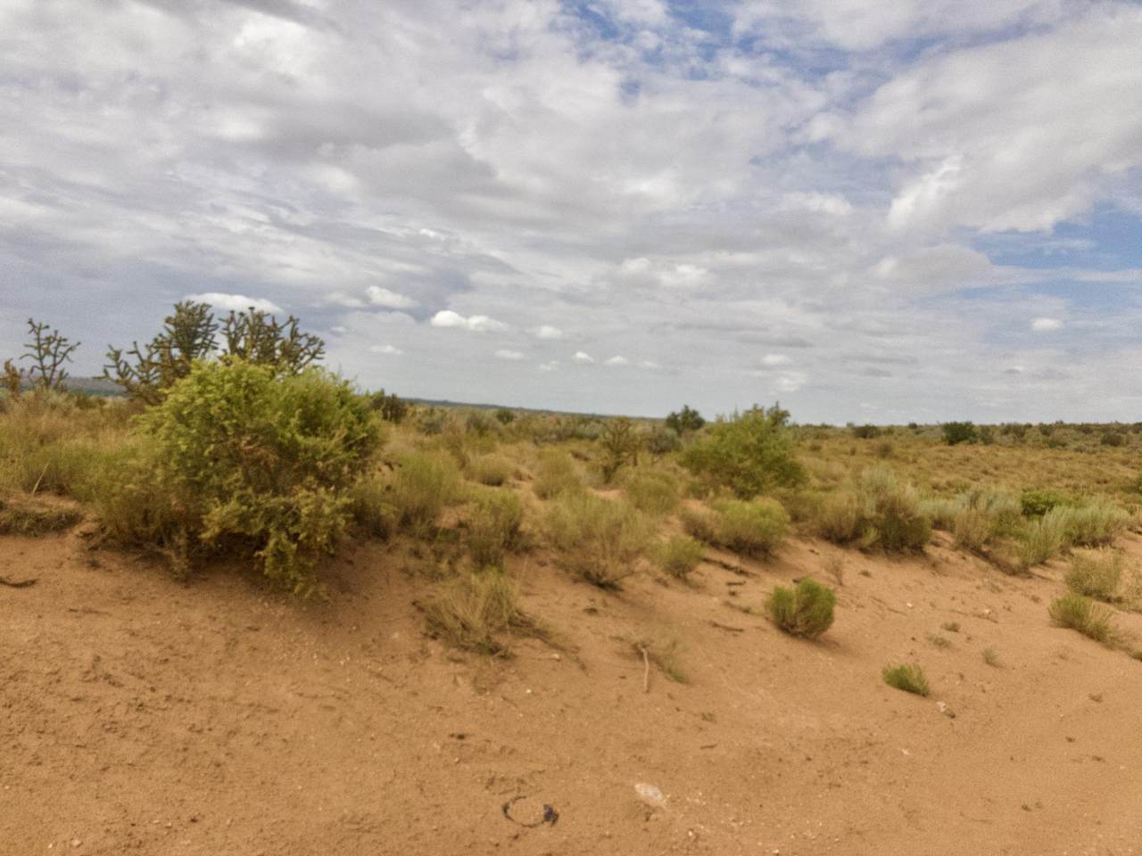 Rio Rancho Estates - Photo 1