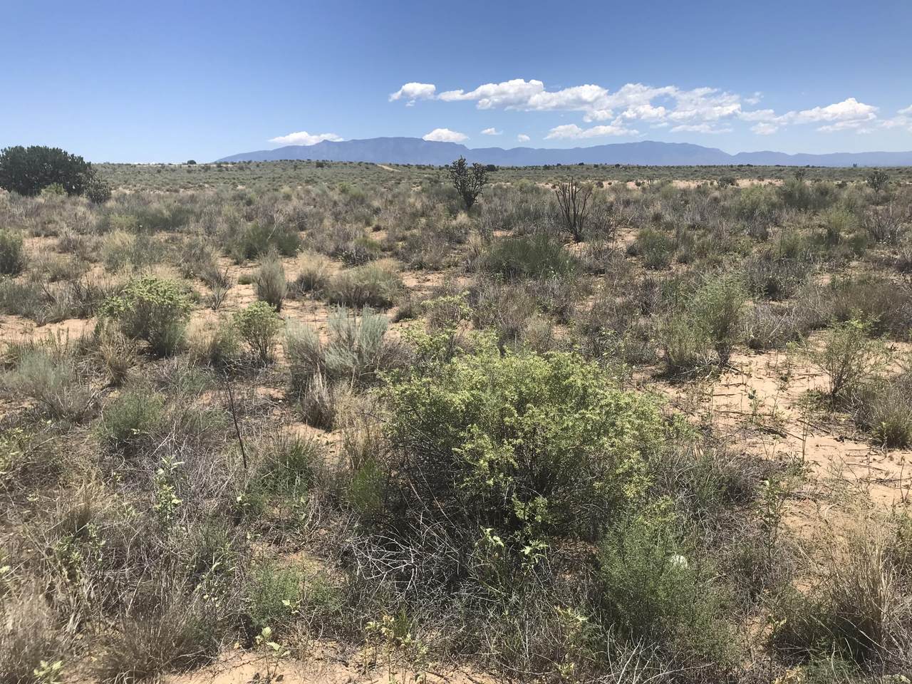 Lot 11 706 Hildalgo Road - Photo 1