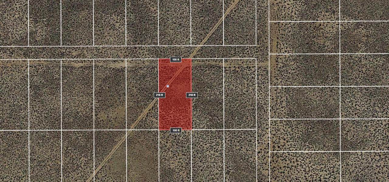 Lot 12 Rio Grande Estates - Photo 1