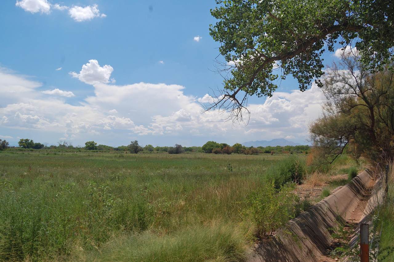 Melecio Rd Tract 15C - Photo 1
